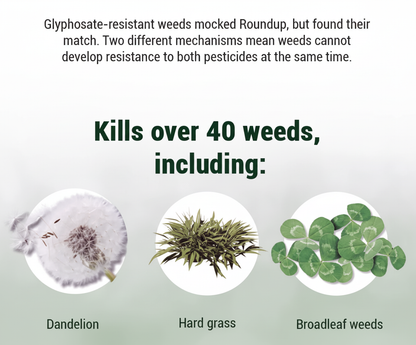 BioBlaster Max Weed Remover (Pack of 2)